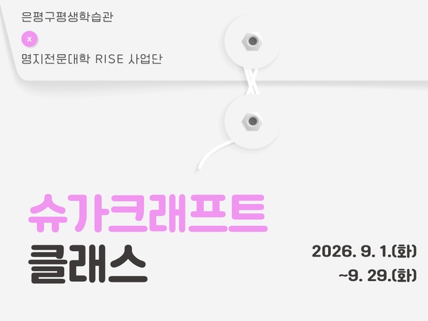 [RISE 프로그램] 슈가크래프트 클래스 이미지