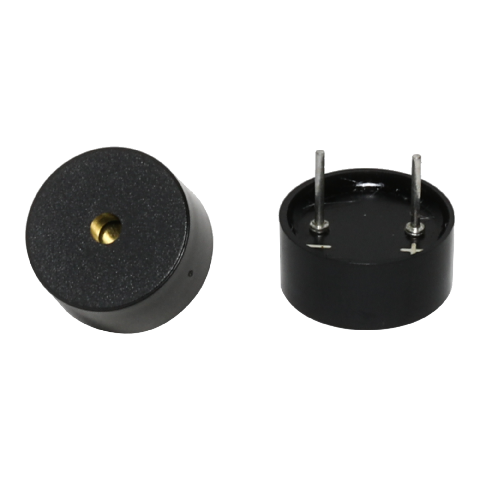 CBE1255BP-L                              
