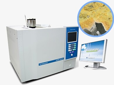 Sulfur Analyzer (YL6500 GC)
