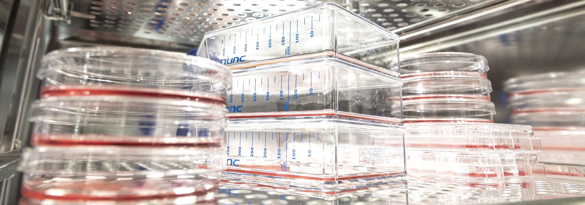 Research institute of Regenerative Medicine and Stem Cells