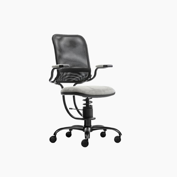 에고노믹 Ergonomic Chair