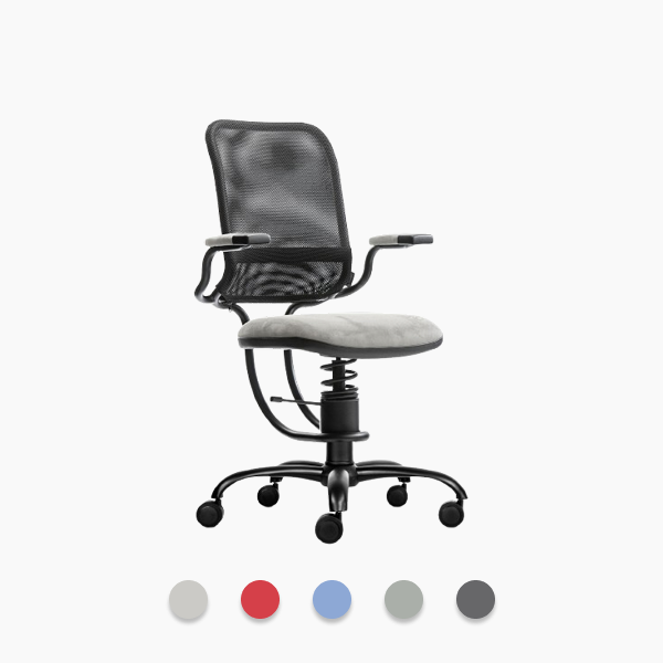 에고노믹 Ergonomic Chair